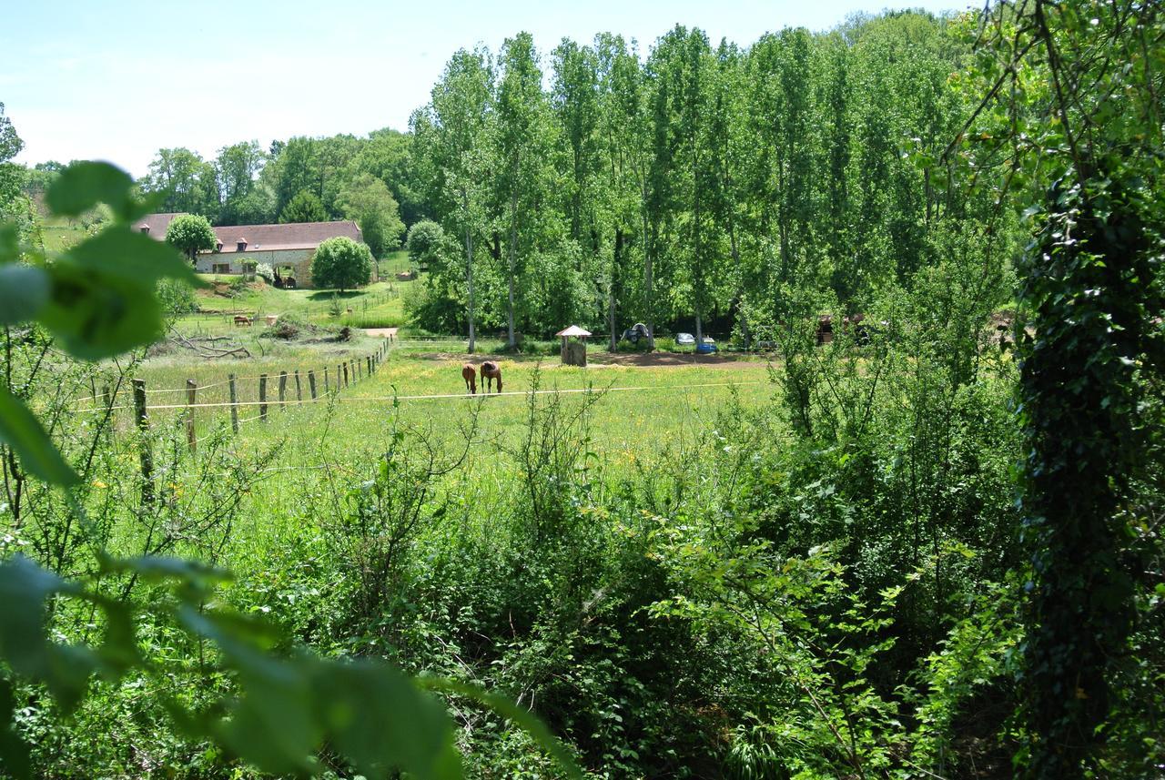 Le Moulin De Planiol Bed & Breakfast Le Vigan  ภายนอก รูปภาพ