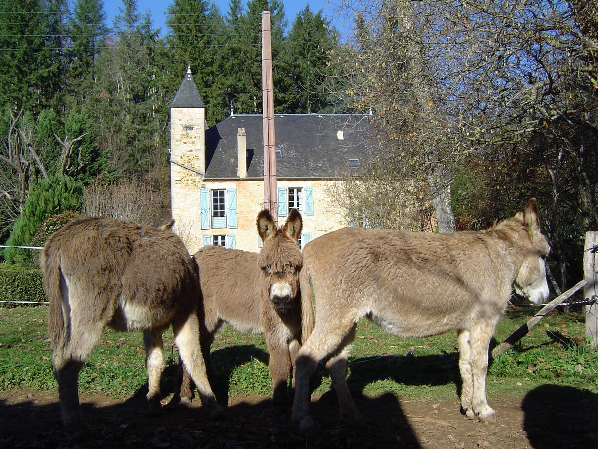 Le Moulin De Planiol Bed & Breakfast Le Vigan  ภายนอก รูปภาพ